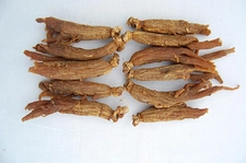 Kırmızı Ginseng Kullanımı ve Faydaları Nelerdir? Kırmızı Ginseng Kullanımı ve Faydaları Nelerdir?