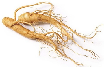 Ginseng Kullanımı ve Faydaları Nelerdir? Ginseng Kullanımı ve Faydaları Nelerdir?