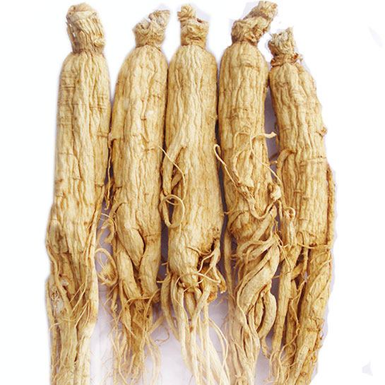 Ginseng Kk